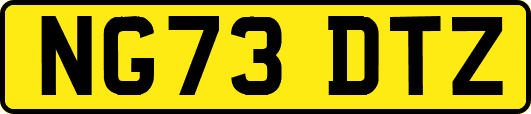 NG73DTZ
