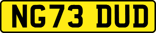 NG73DUD