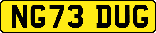 NG73DUG