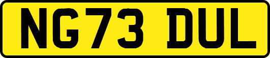 NG73DUL