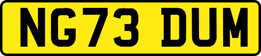NG73DUM