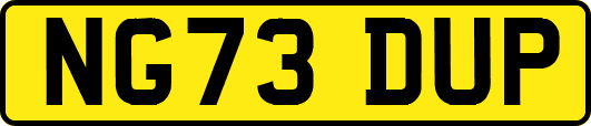 NG73DUP