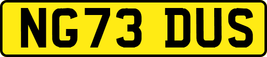 NG73DUS