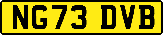 NG73DVB