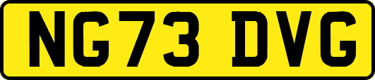 NG73DVG