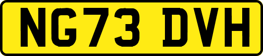NG73DVH