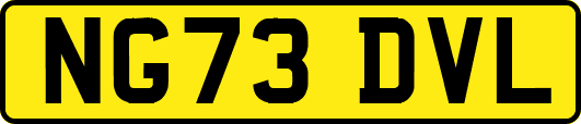 NG73DVL