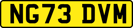 NG73DVM