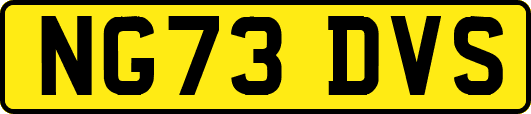 NG73DVS
