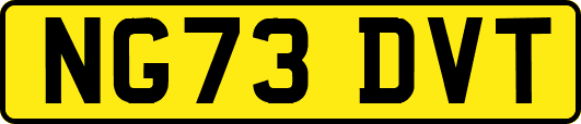 NG73DVT