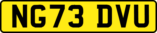 NG73DVU