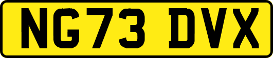 NG73DVX