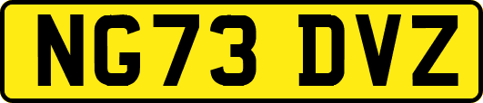 NG73DVZ