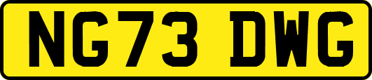 NG73DWG