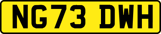 NG73DWH