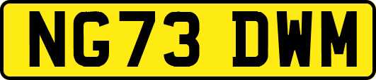 NG73DWM