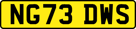 NG73DWS