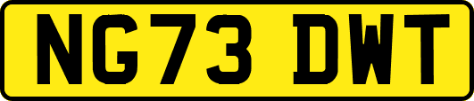 NG73DWT