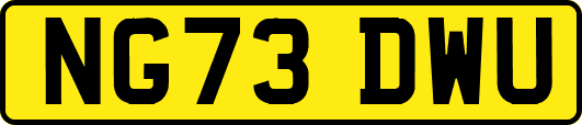 NG73DWU