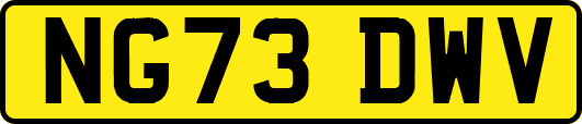 NG73DWV