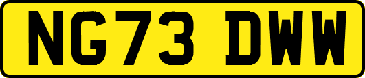 NG73DWW