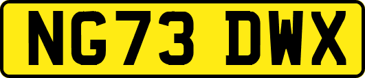 NG73DWX