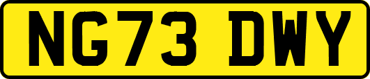 NG73DWY