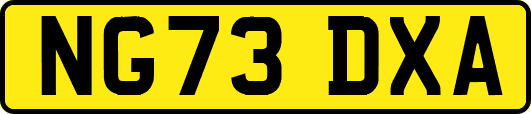 NG73DXA