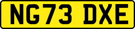 NG73DXE