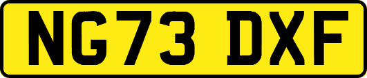 NG73DXF