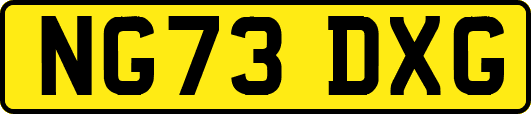 NG73DXG