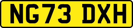 NG73DXH