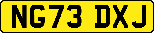 NG73DXJ