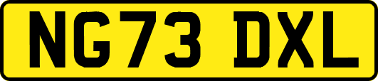 NG73DXL