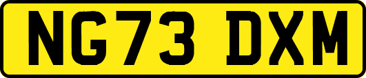NG73DXM