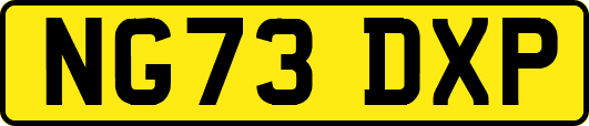 NG73DXP