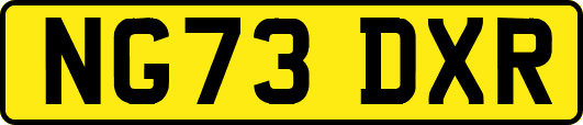 NG73DXR