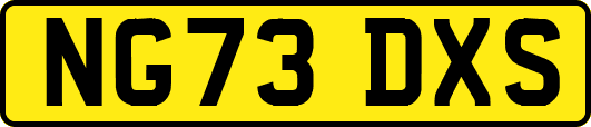 NG73DXS