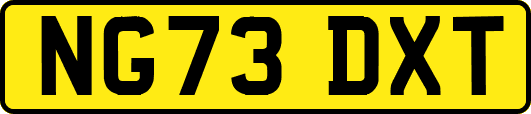 NG73DXT