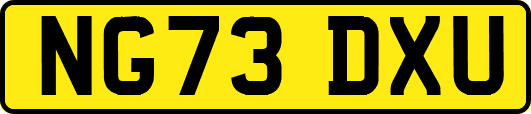 NG73DXU