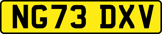 NG73DXV