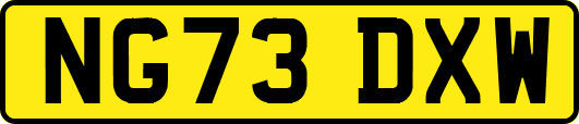 NG73DXW
