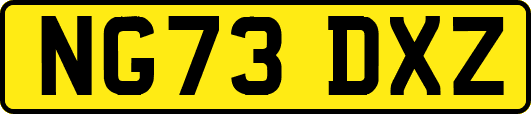 NG73DXZ