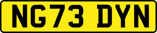 NG73DYN