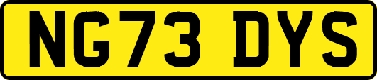 NG73DYS