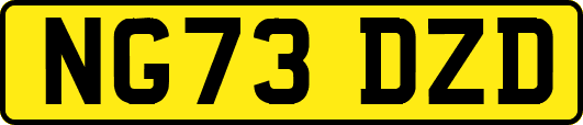 NG73DZD
