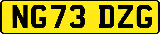 NG73DZG