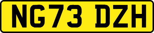 NG73DZH