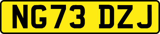 NG73DZJ
