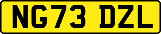 NG73DZL